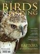 Africa Birds & Birding